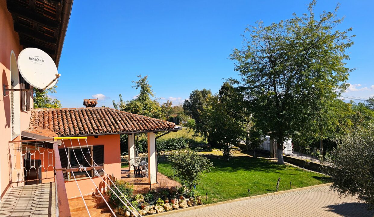 san bernardo24