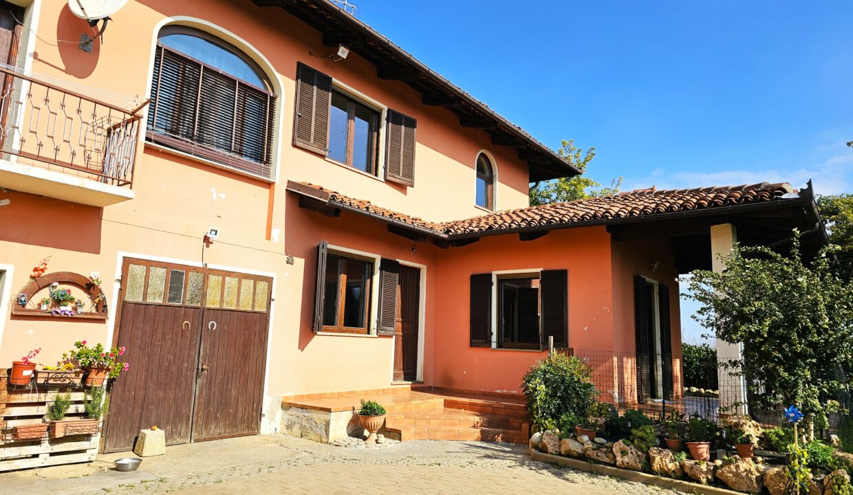 san bernardo4