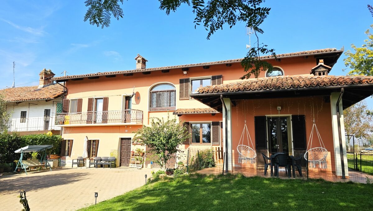 san bernardo5