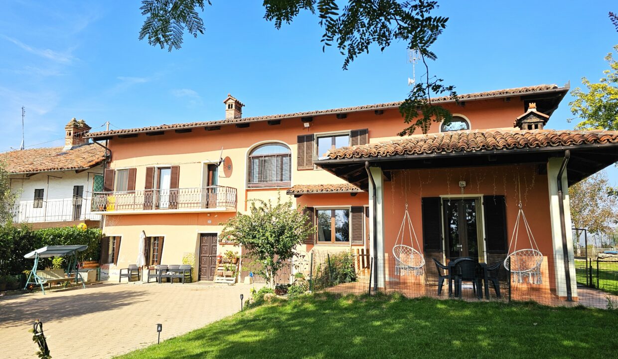 san bernardo5