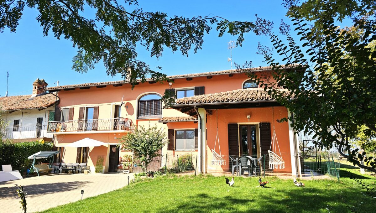 san bernardo8