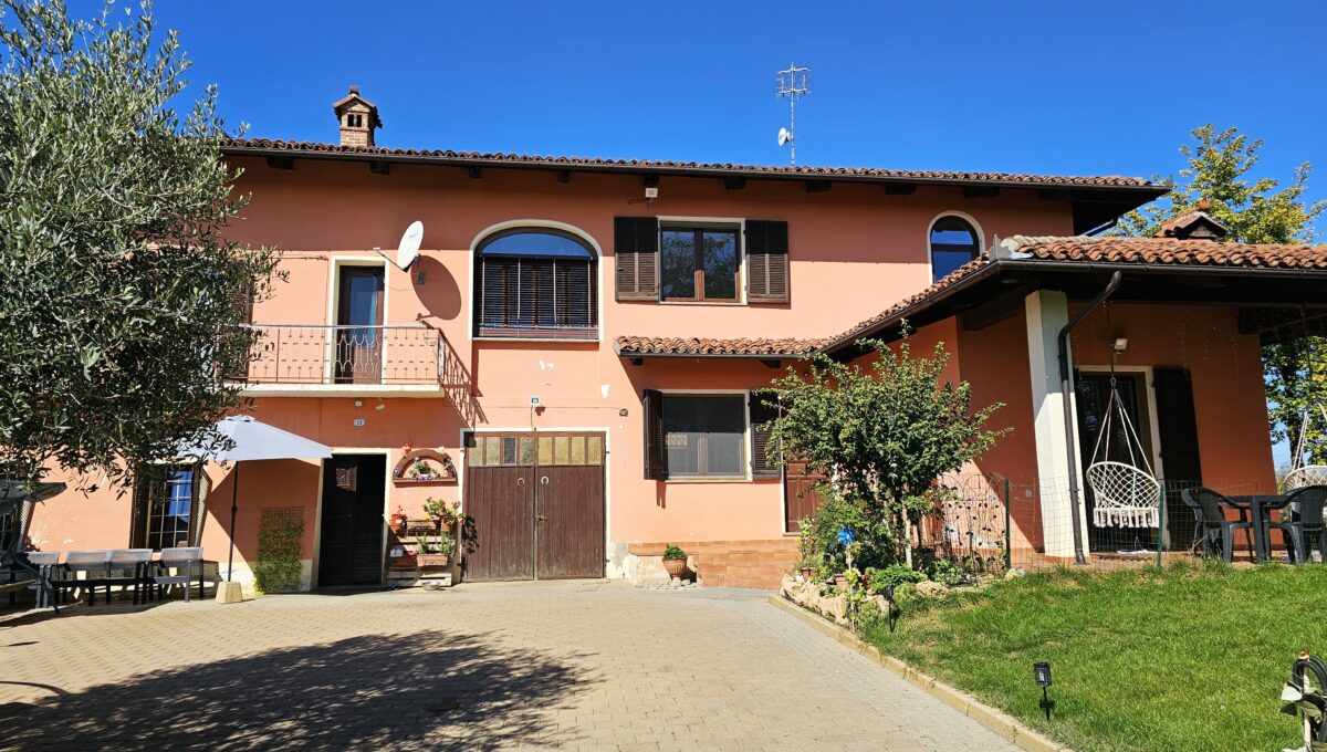 san bernardo9