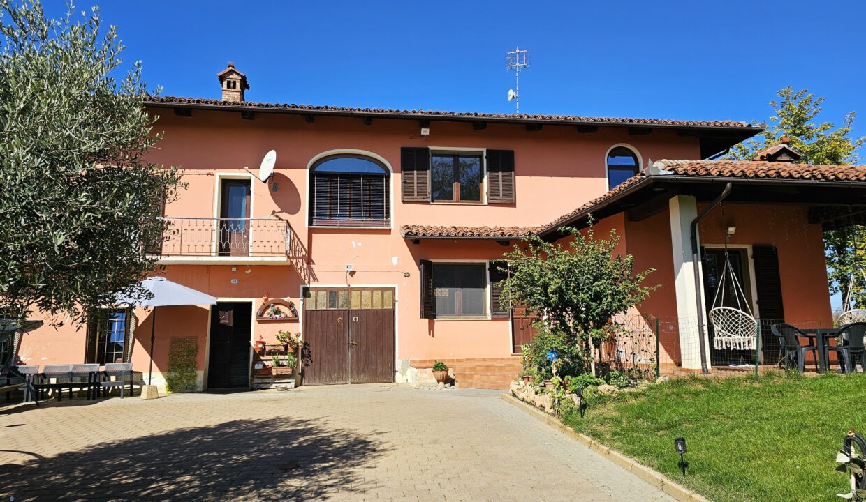 san bernardo9