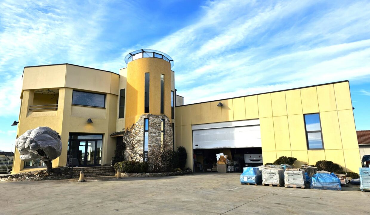 COPIA11