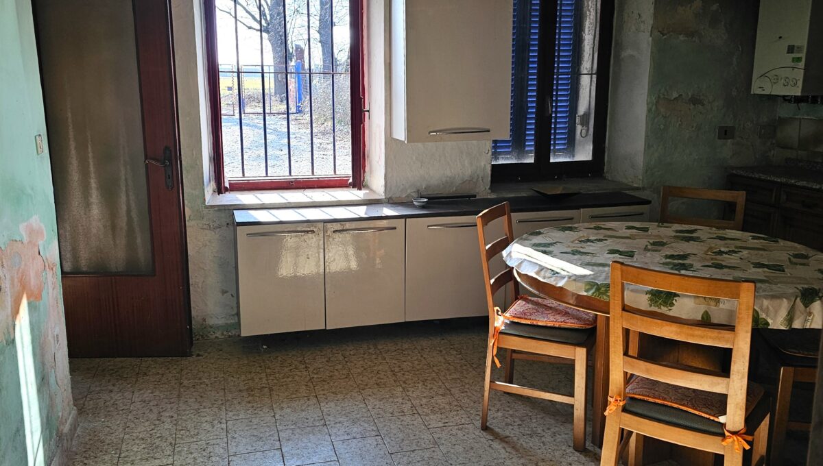 san bernardo1-