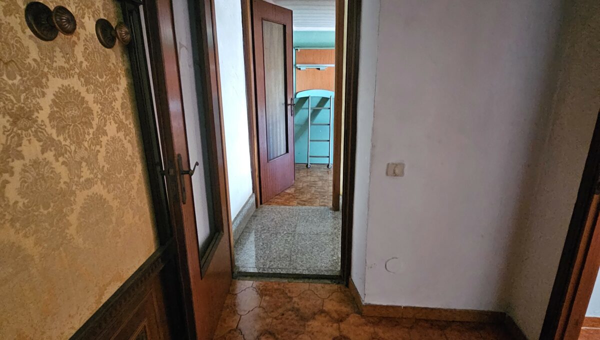 san bernardo11-