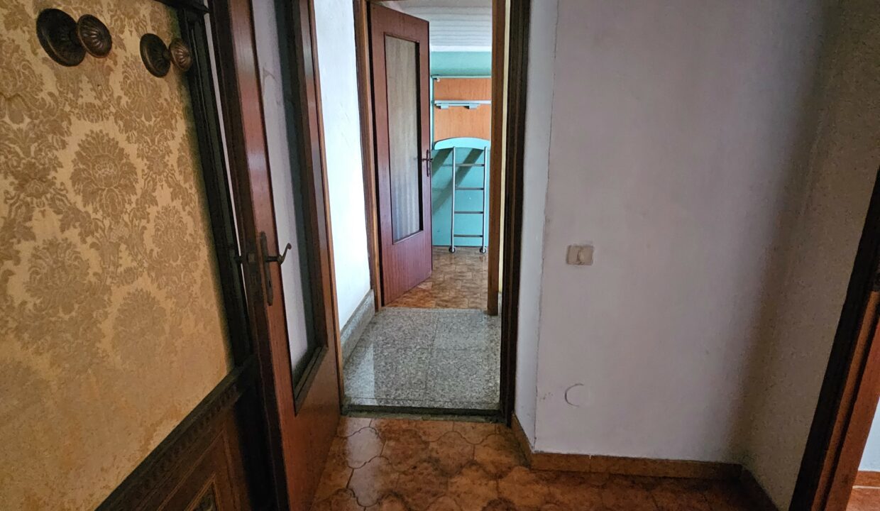 san bernardo11-