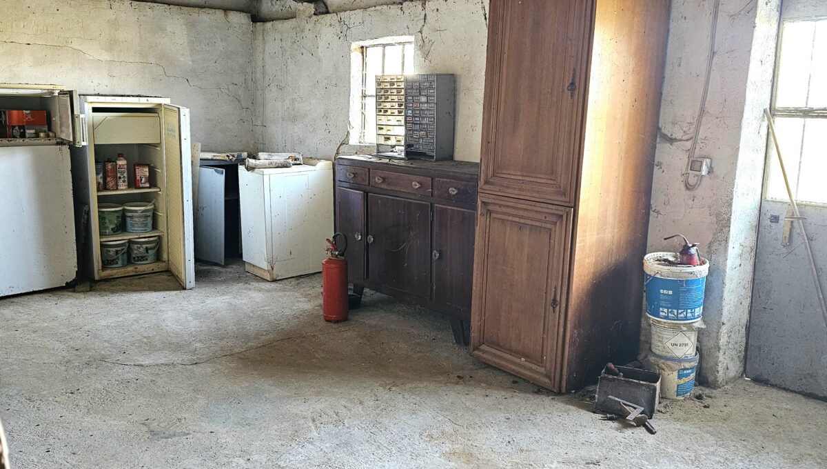 san bernardo2-