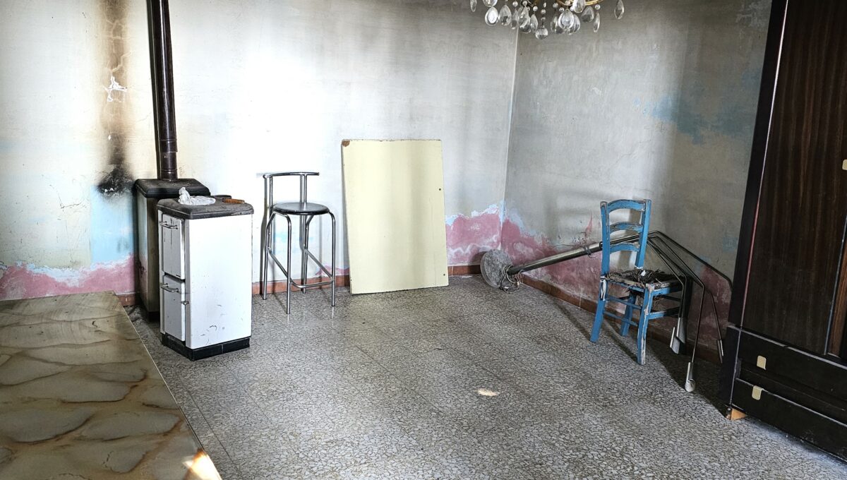 san bernardo5-