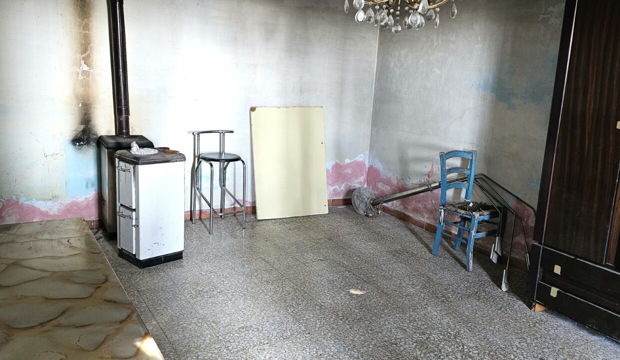 san bernardo5-