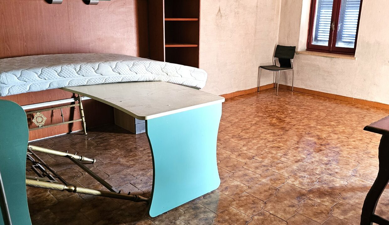san bernardo6-