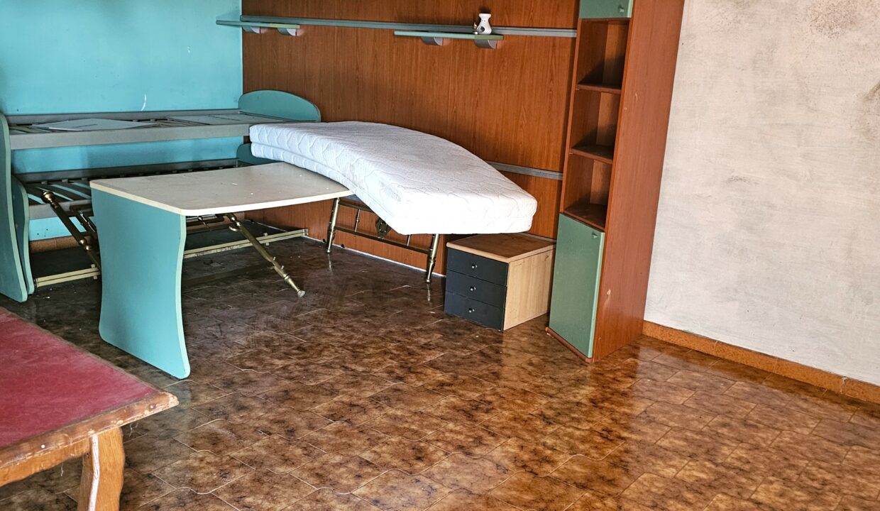 san bernardo7-