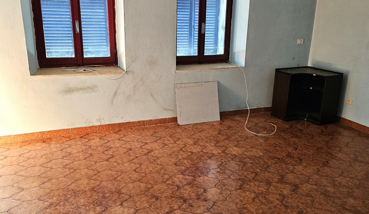 san bernardo9-
