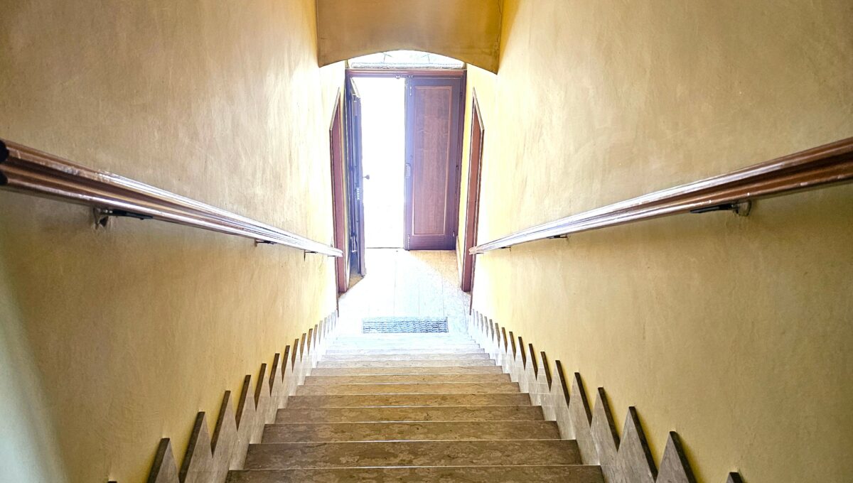 san luigi17
