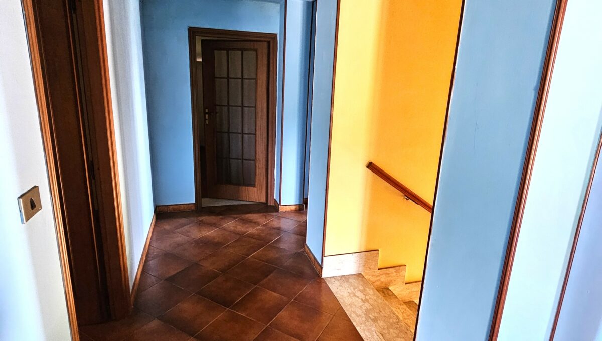 san luigi22