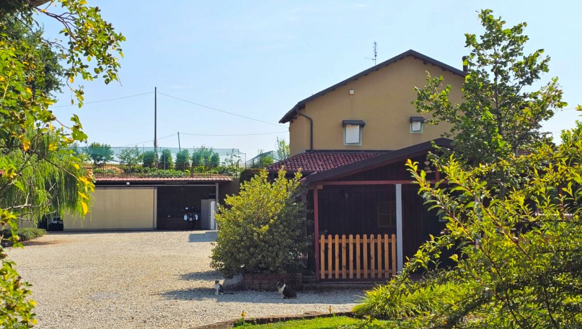 podio26