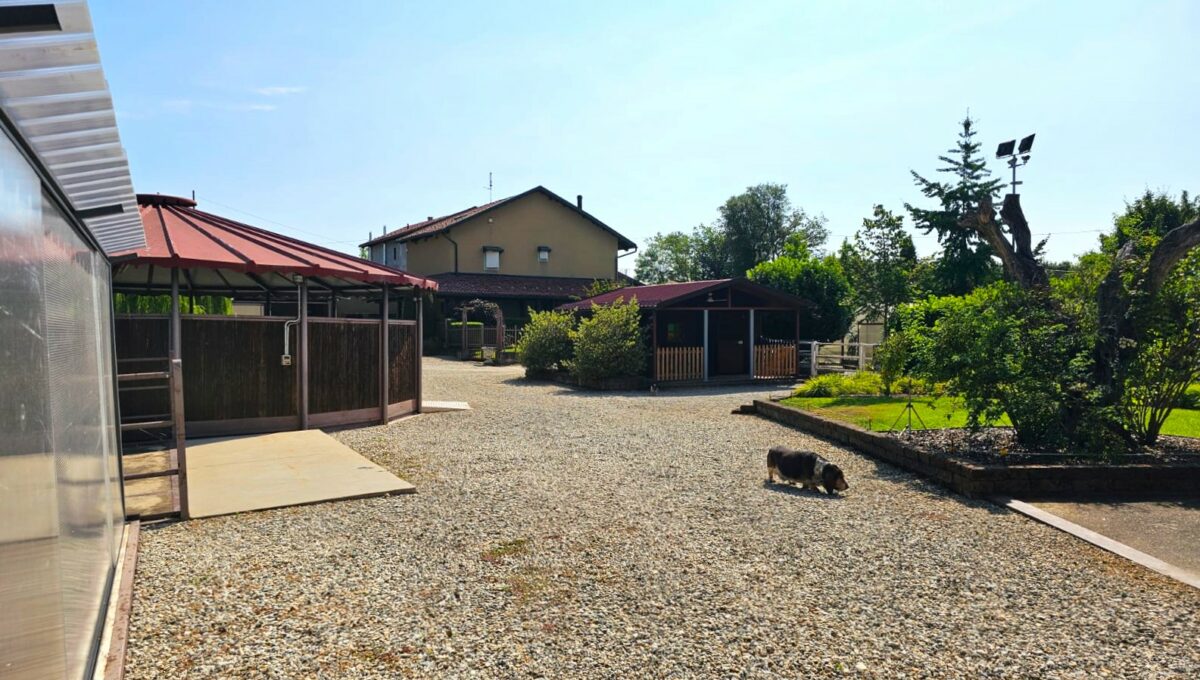 podio28