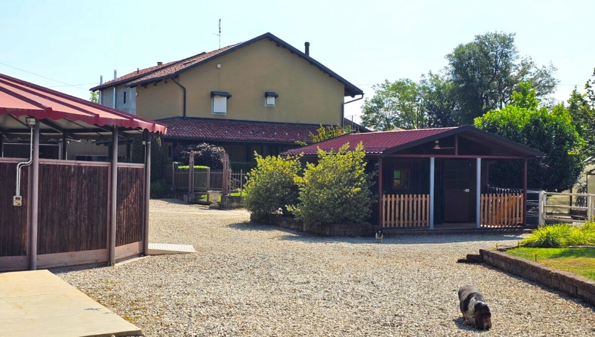podio29