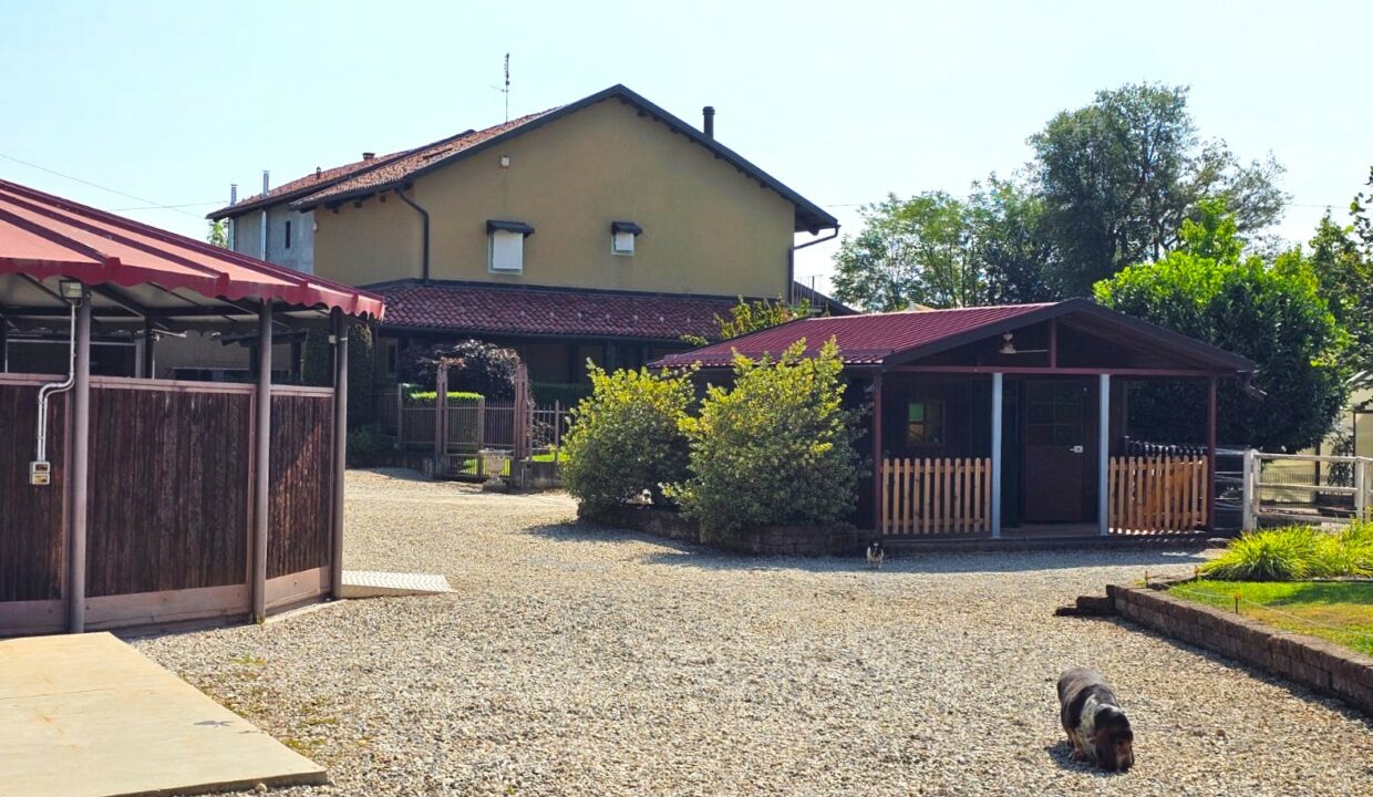 podio29
